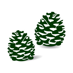 绿色松果松果深绿色, 剪影, 动画片在白色背景照片