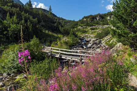 壮观的风景与山河, Pirin 山, 保加利亚