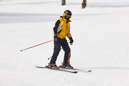 在雪山景观上的成人滑雪。冬季运动