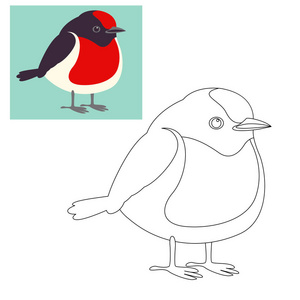 红色上限的罗宾鸟矢量插图着色页