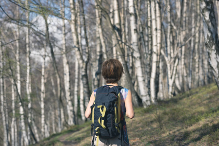 妇女徒步在森林里, 一个人在林地漫步, 背包夏天冒险旅行, 后方看法, 柔和的图片