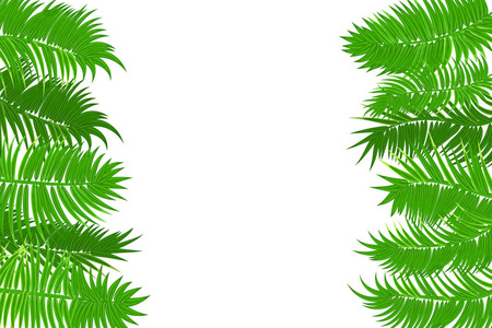 夏季丛林棕榈叶框架
