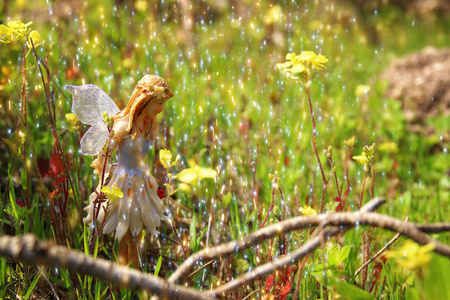 森林中神奇小仙女的形象
