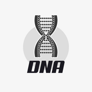 Dna 分子设计