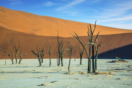 干湖 Deadvlei。在巨大的橙色沙丘之间的风景干燥的树木。纳米比亚, 纳米布沙漠Naukluft 国家公园的生态旅游