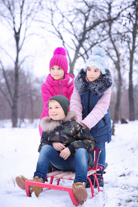可爱的孩子们在雪地公园里滑雪, 冬天度假