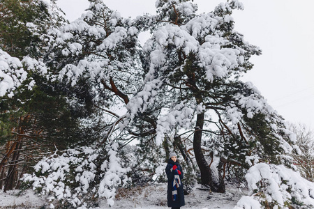 一个年轻漂亮的女孩摆在一个大白雪覆盖的松树佛瑞斯