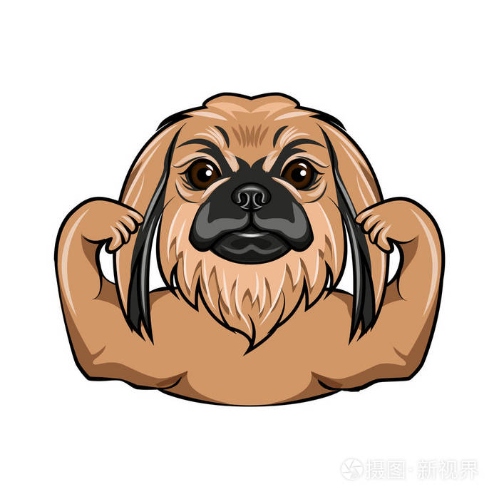 哈巴狗狗肌肉肌肉发达的狗狗肖像向量