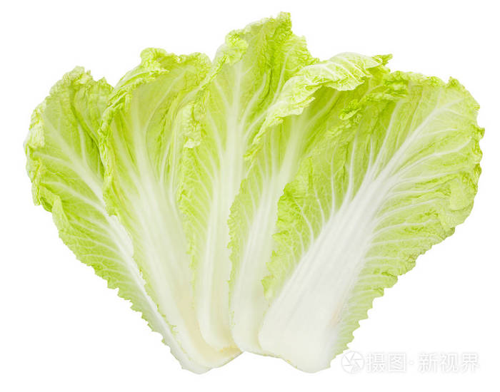在白色背景下分离的大白菜叶子