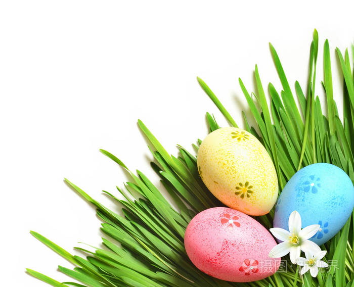 复活节画鸡蛋与花在新鲜的绿色草