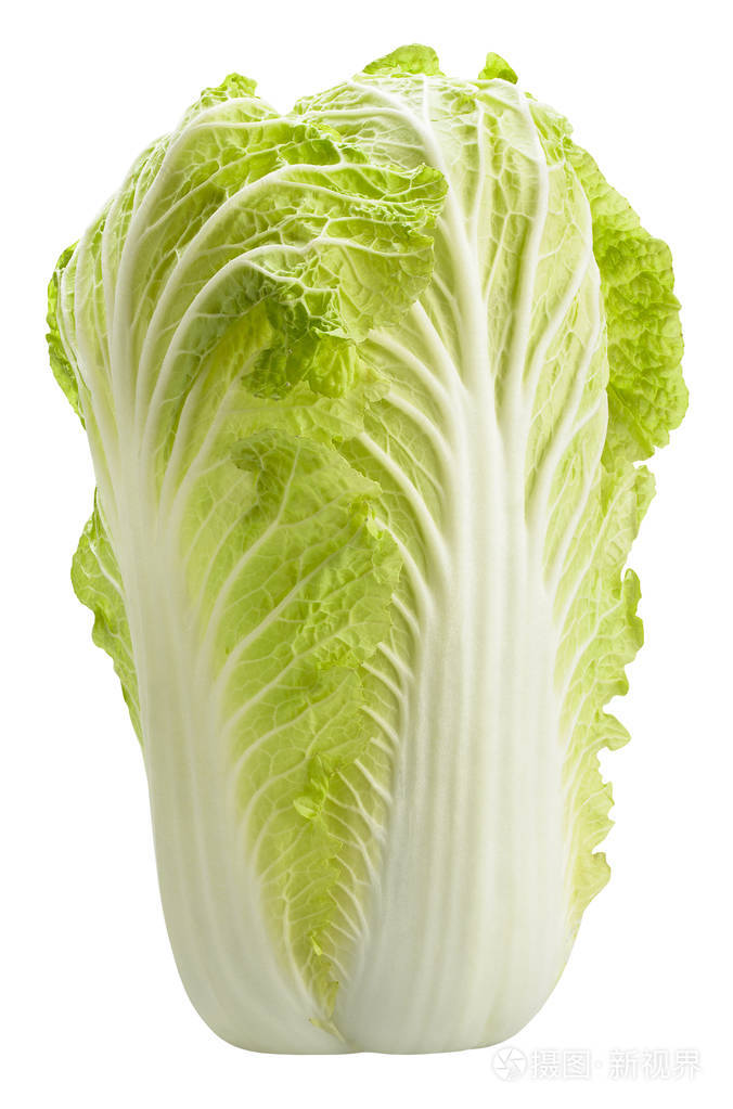 大白菜在白色背景上孤立照片-正版商用图片046q74-摄图新视界