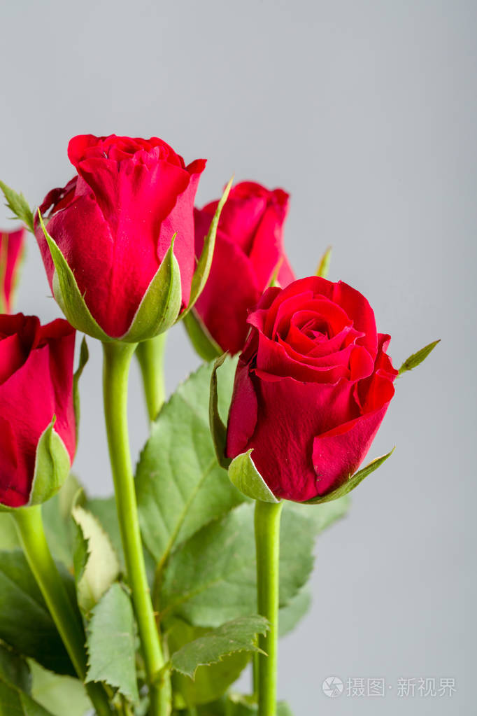 花束新鲜的红色玫瑰