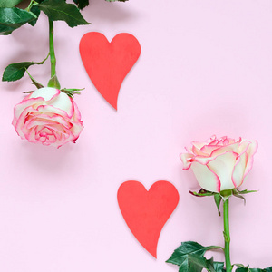 两朵粉红色盛开的玫瑰花和两颗红色的心在粉红色的背景五颜六色的心
