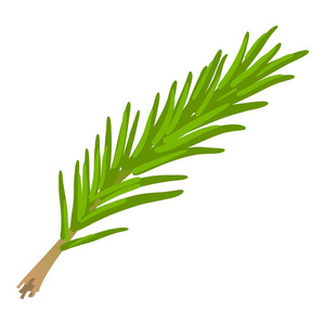 迷迭香图标, 卡通风格照片