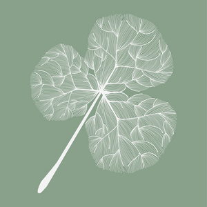 树型树型叶的设计说明照片