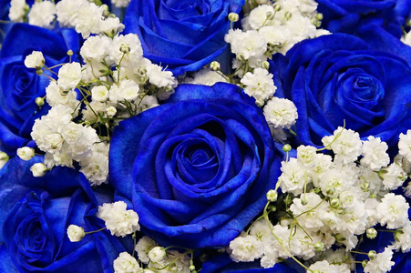 美丽的装饰蓝色玫瑰与白色满天星作为婚礼花束关闭