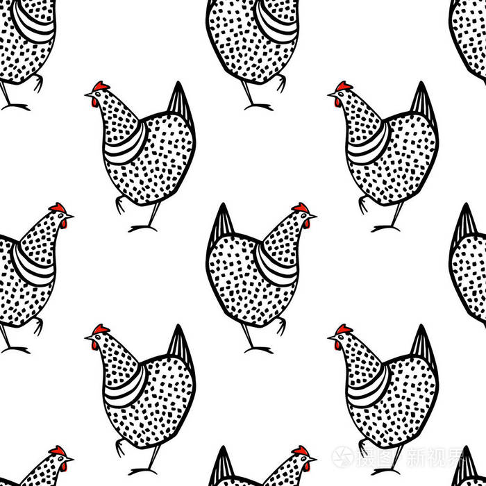 手工绘制家禽图案插画-正版商用图片047a1m-摄图新视界