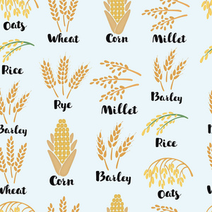 麦芽谷物图片-麦芽谷物素材-麦芽谷物插画-摄图新视界