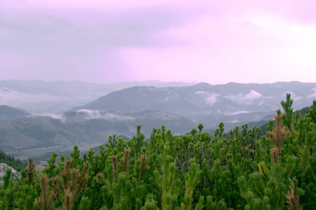 夏天风景与欧洲的一座山脉。高山山峰