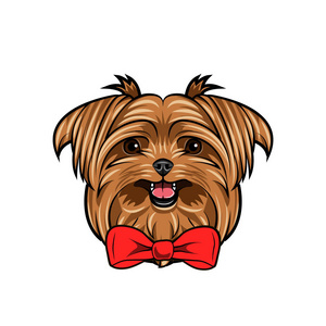 装饰弓.红弓.狗头, 脸, 枪口.向量照片