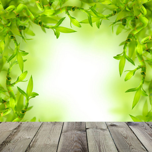 绿色竹子和空木桌的水疗背景图片