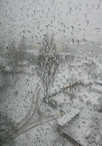 庭院雪雨城市冬天图片