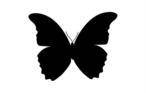 简单, 最小的黑色蝴蝶剪影或符号, 符号