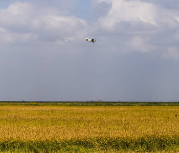 一架农用飞机飞过稻田。除草剂的空气应用