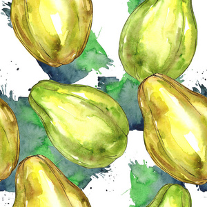 异国情调的木瓜野生水果水彩风格图案