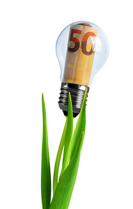 在白色背景的植物上, 有欧元的灯泡。节约能源的概念