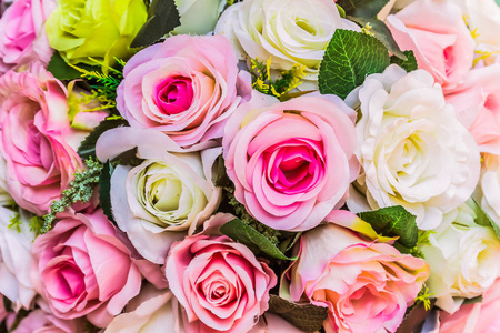 色彩鲜艳的玫瑰, 背景各异照片