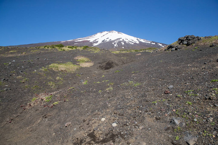 顶部的富士山雪与富士山自然休闲森林步道在春天