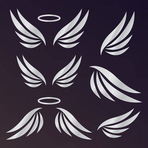 天使翼海棠花图片