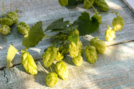 啤酒花和小麦, 大麦, 麦芽酿造啤酒上木制的背景照片