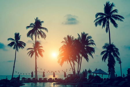 热带海边的棕榈树剪影在惊人的日落期间