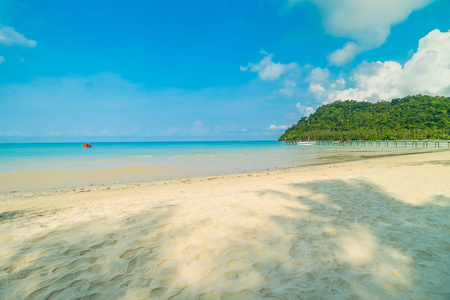 美丽的热带海滩和海与椰子棕榈树在天堂海岛为旅行和假期