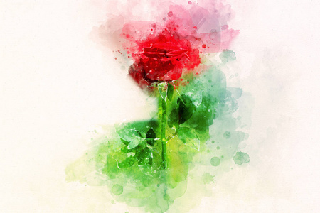 红玫瑰的水彩风格与抽象意象