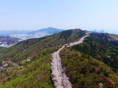 Hwangryeonsan 山樱花泉, 釜山, 韩国, 亚洲