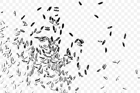 赫德米剪影茉莉米在透明的背景下, 糙米和在餐桌上的混合大米.