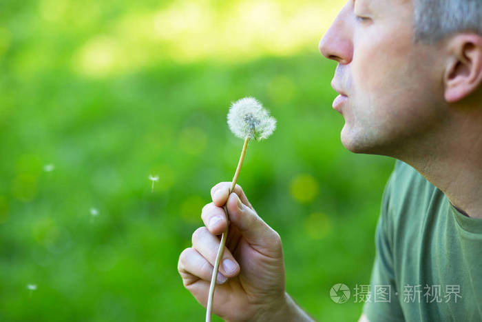 人吹蒲公英只是被绿草, 夏日自然出