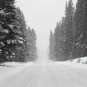 雪覆盖道路与树木在冬天, 约翰逊峡谷, 班夫国家公园, 艾伯塔省, 加拿大