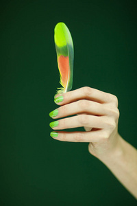 女子手捧异国情调的小鸟羽毛, 感性工作室拍摄黑色背景照片