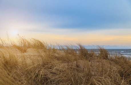 沙丘沙丘草岛 Usedom