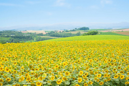 北海道jr图片 北海道jr素材 北海道jr插画 摄图新视界