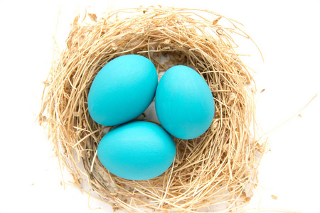 蓝彩色复活节彩蛋在巢木背景下, 选择性聚焦图像。快乐复活节贺卡