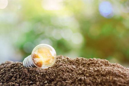 土壤中的发光灯泡对模糊自然绿色 backgro 的影响