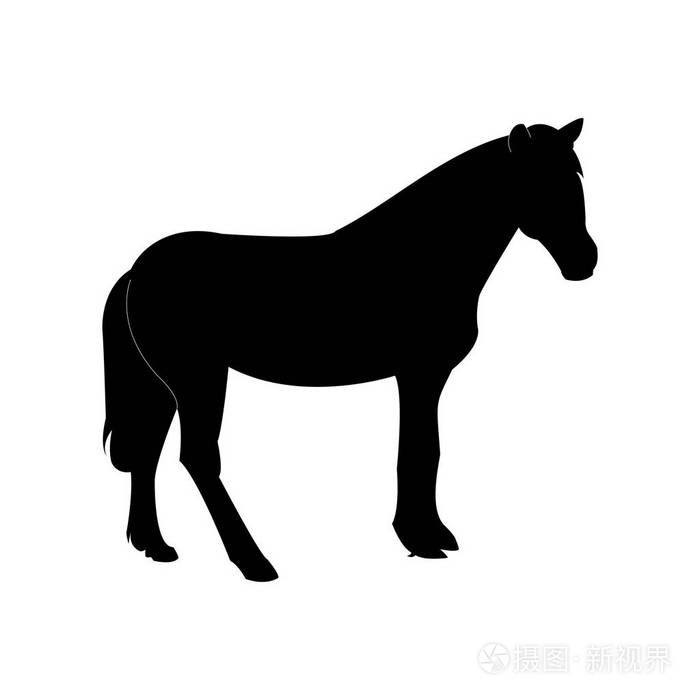 马的剪影.透明背景下的黑色.向量