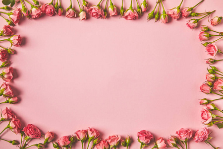 从美丽的粉红色玫瑰和复制空间粉红色的框架的顶部视图