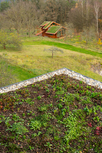 覆盖着植被的广泛的绿色生活屋顶的木房子
