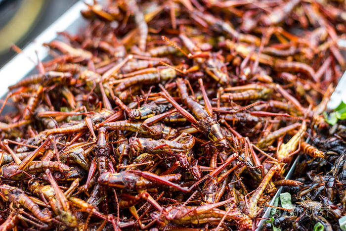 炒昆虫蝗虫昆虫脆, 泰国食品在街头食品市场。市场上有售